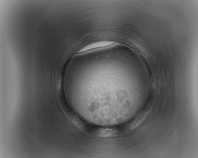 X0000116300315200912071254