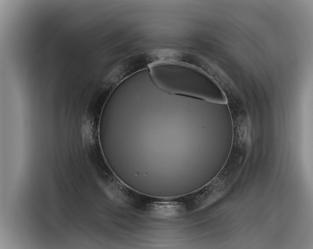 X0000116300316200912071254