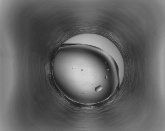 X0000116300317200912071254