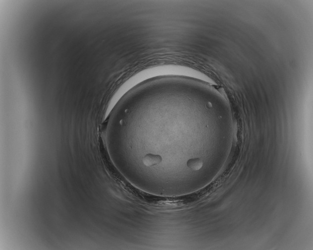 X0000116300320200912071253