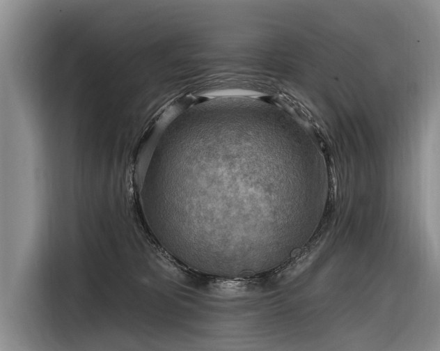 X0000116300325200912071253