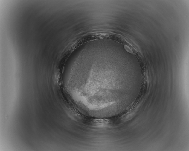 X0000116300328200912071253