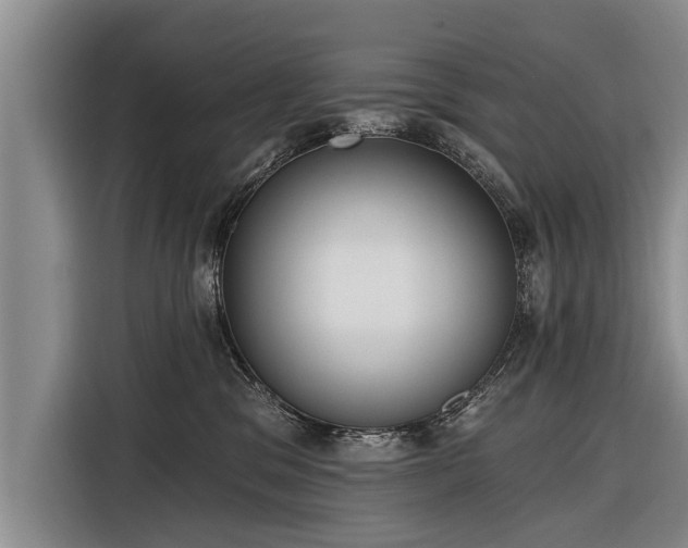 X0000116300329200912071253