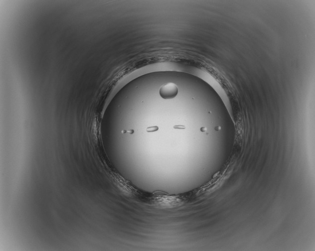 X0000116300333200912071253