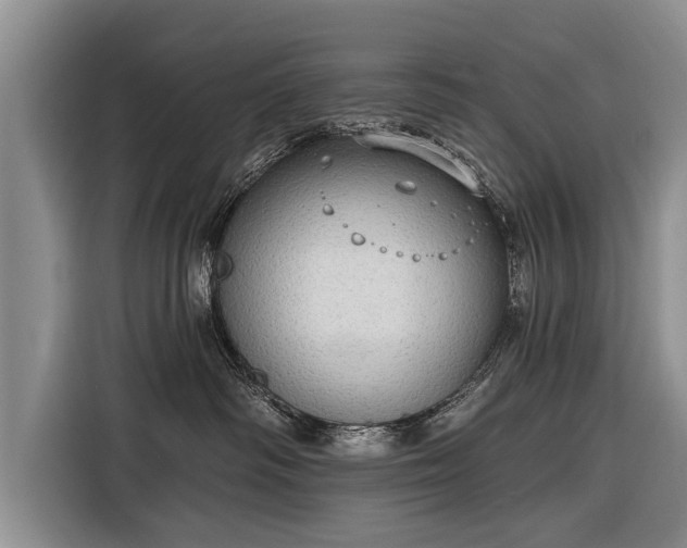 X0000116300334200912071253