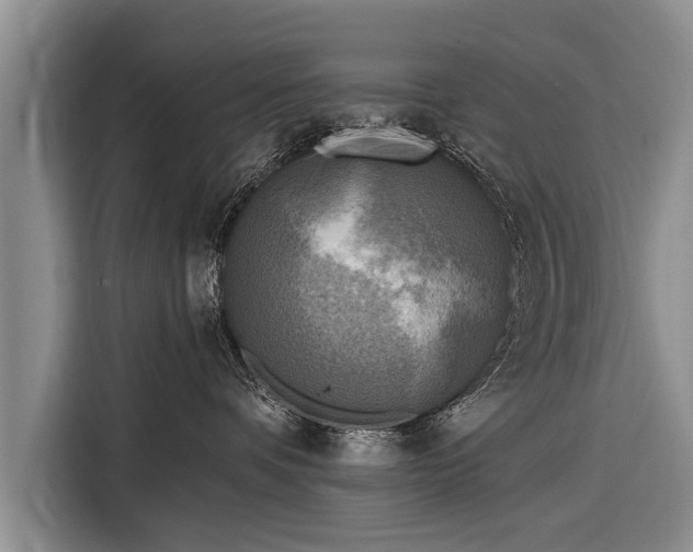 X0000116300336200912071253