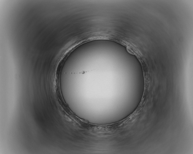 X0000116300338200912071253