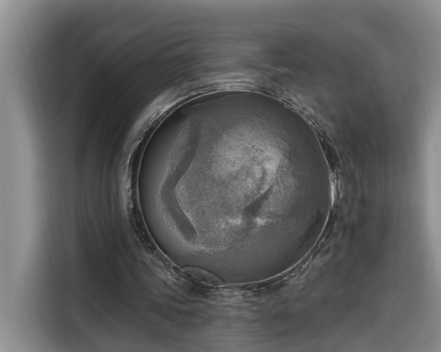 X0000116300339200912071253