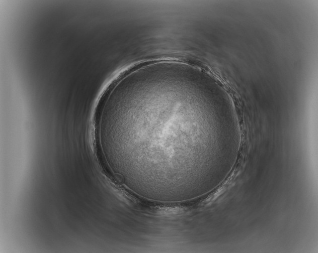 X0000116300342200912071253