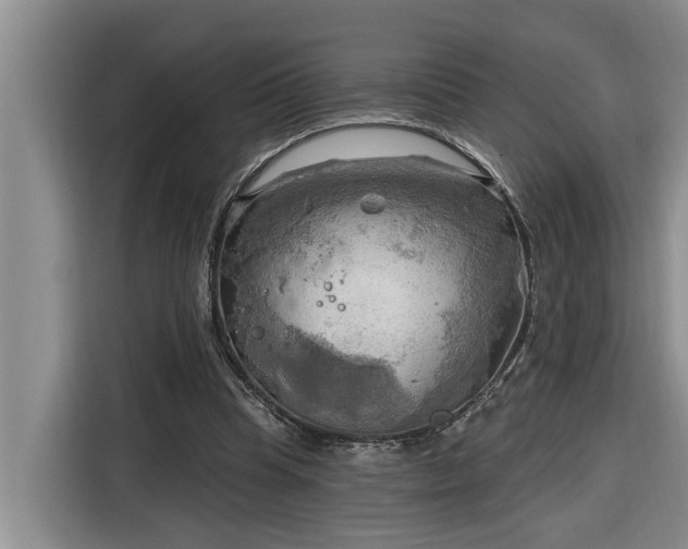 X0000116300345200912071253