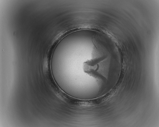 X0000116300347200912071253