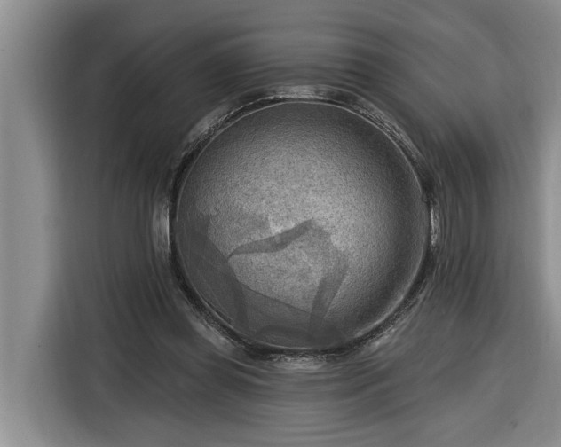 X0000116300349200912071253