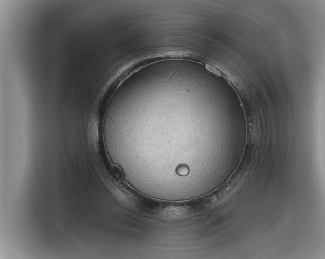 X0000116300350200912071253