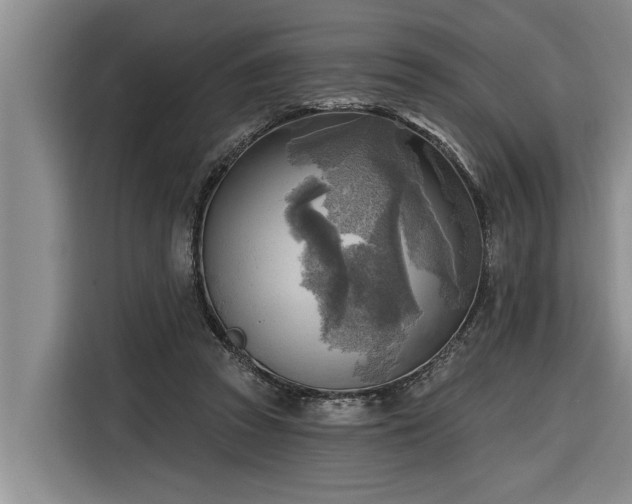 X0000116300353200912071253