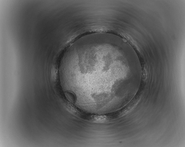 X0000116300355200912071253