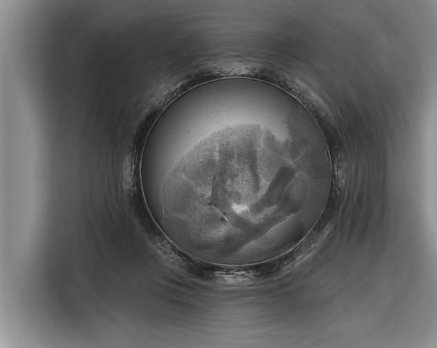 X0000116300359200912071253