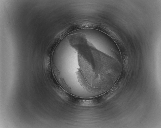 X0000116300361200912071253