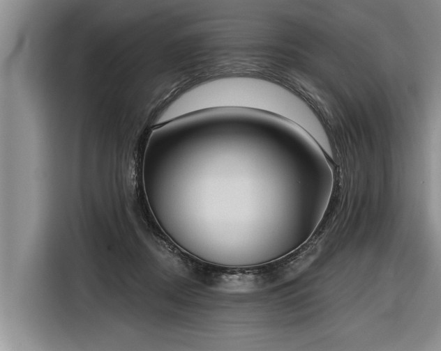 X0000116300362200912071253