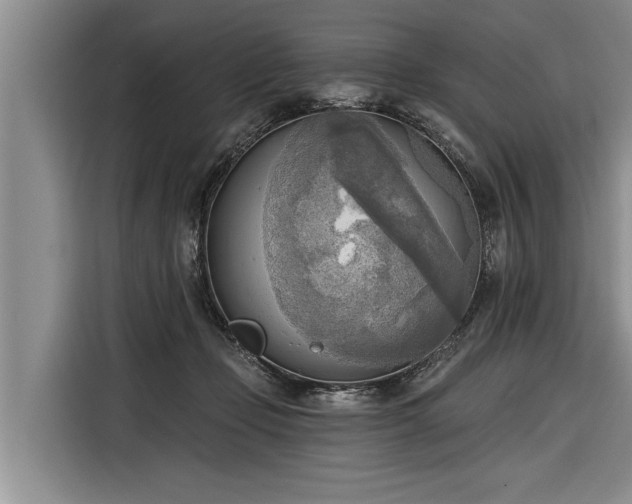 X0000116300365200912071253