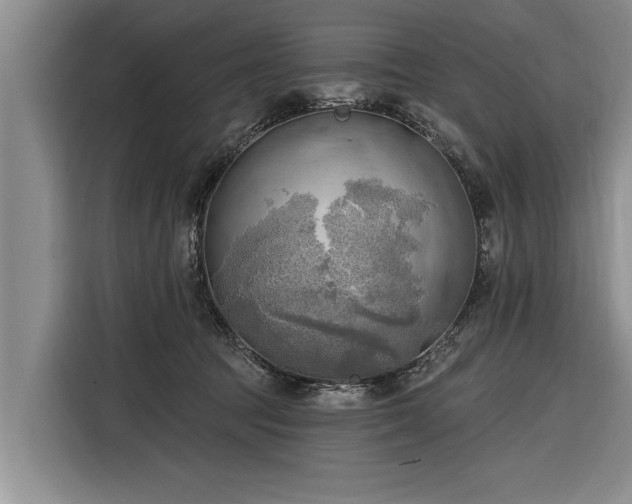 X0000116300369200912071253