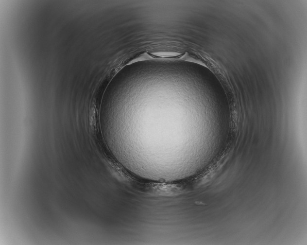 X0000116300379200912071253