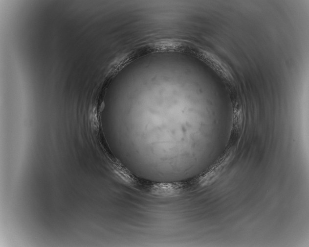 X0000116300381200912071253