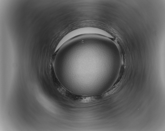 X0000116300382200912071253