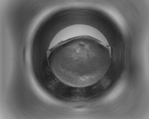 X0000116300383200912071253