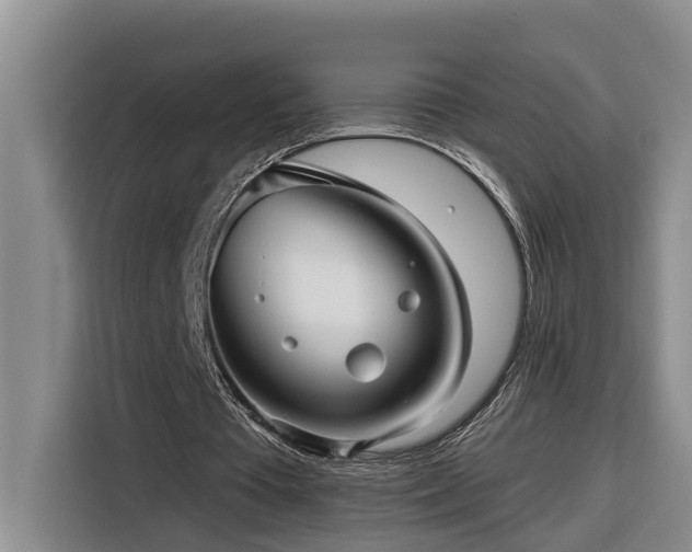 X0000116300385200912071253