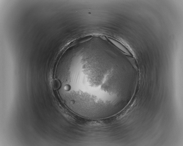 X0000116300386200912071253