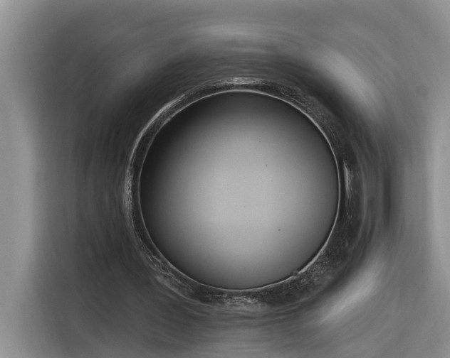 X0000116300387200912071253