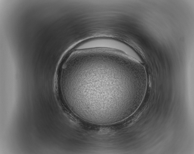 X0000116300388200912071253