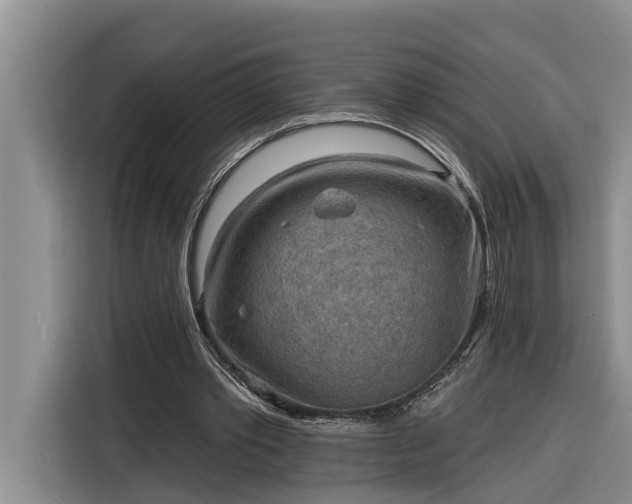 X0000116300389200912071253