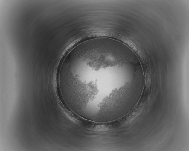 X0000116300390200912071253