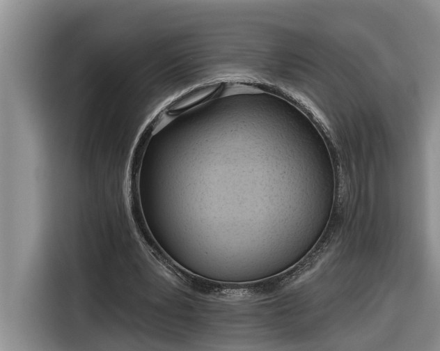 X0000116300391200912071253