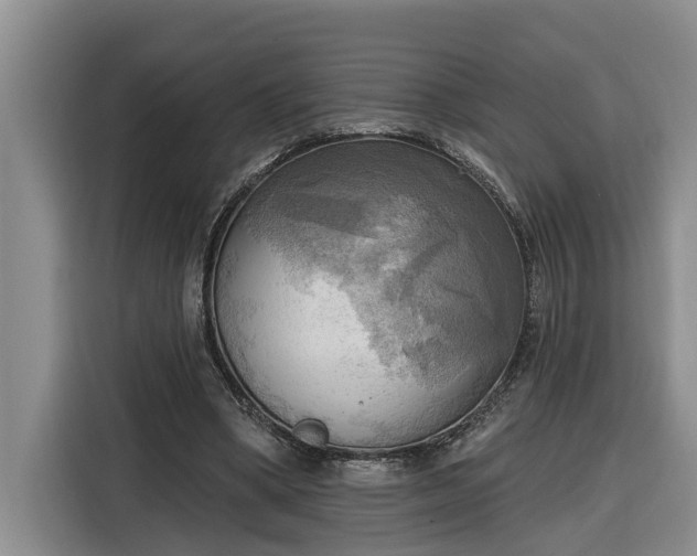 X0000116300394200912071253