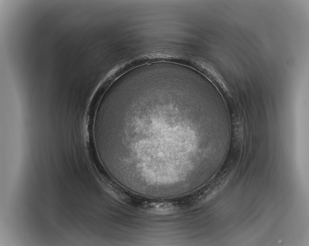 X0000116300395200912071252