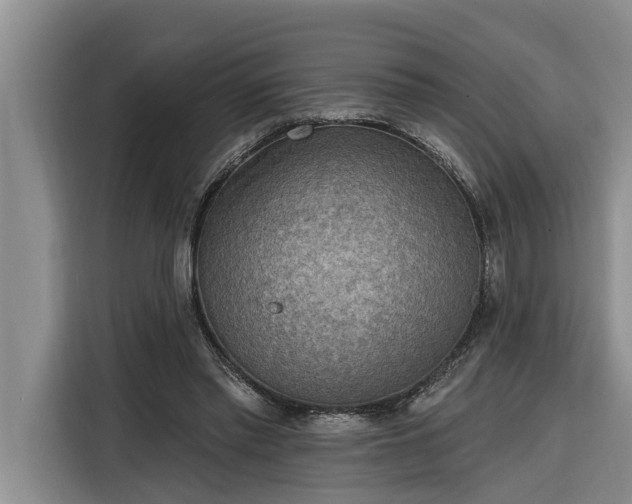 X0000116300397200912071252