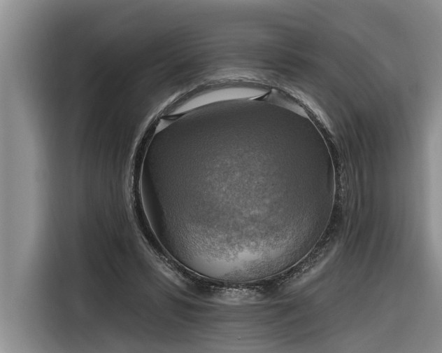 X0000116300399200912071252