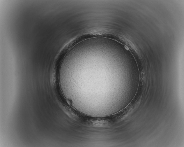 X0000116300400200912071252