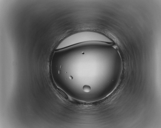 X0000116300401200912071252