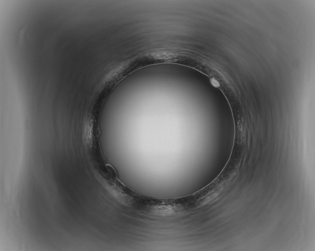 X0000116300404200912071252