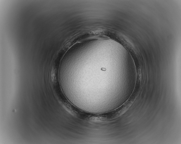 X0000116300408200912071252