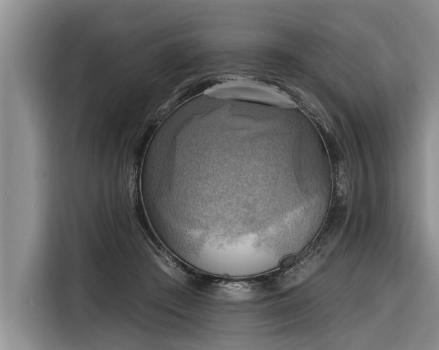 X0000116300409200912071252