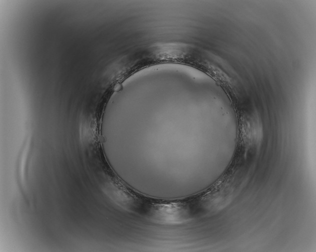 X0000116300411200912071252