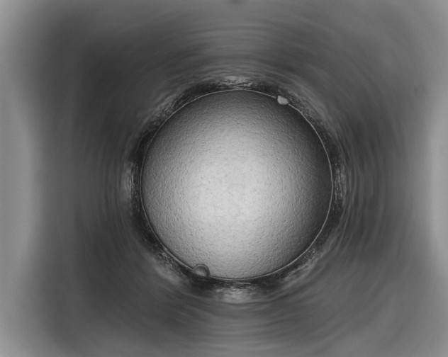 X0000116300412200912071252