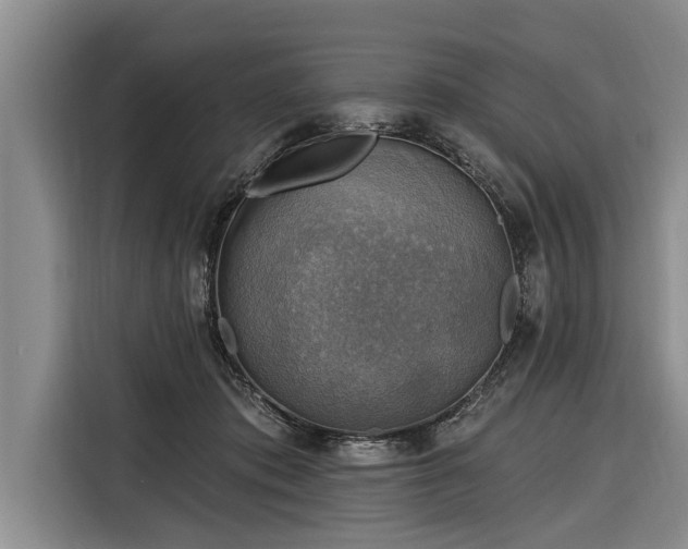 X0000116300413200912071252