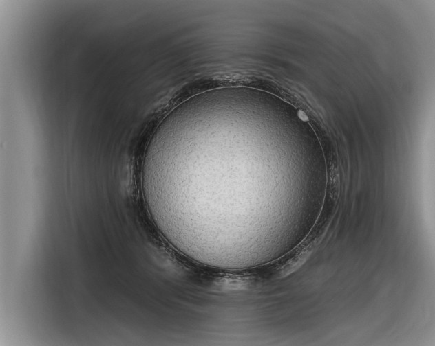 X0000116300416200912071252