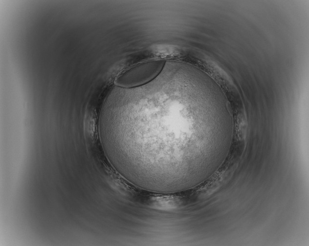 X0000116300417200912071252