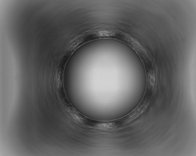 X0000116300422200912071252